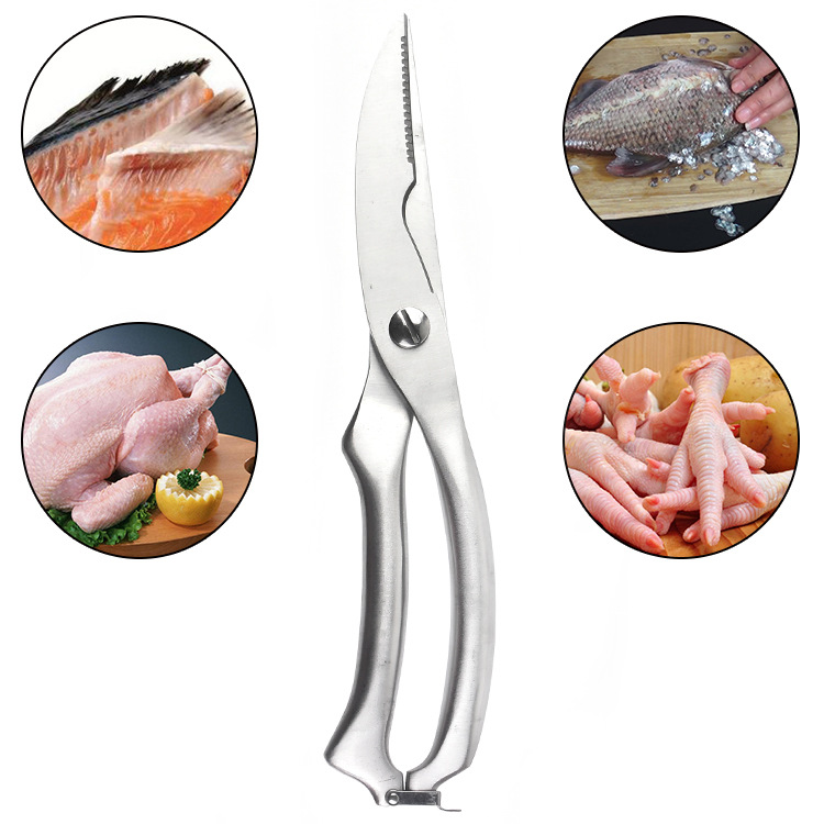 สแตนเลสสัตว์ปีกครัวไก่กรรไกรกร - Kitchen Gadgets Cutting Tools บทวิจารณ์และราคา